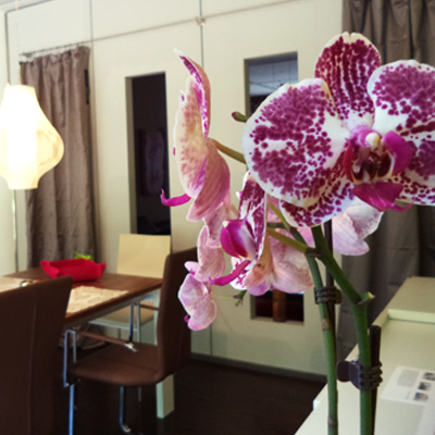 tl_files/Standart/Bilder/Ueber uns.jpg tl_files/Standart/Bilder/Ueber uns.jpg